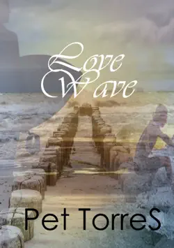 love wave book cover image
