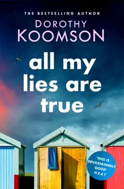 all my lies are true book cover image