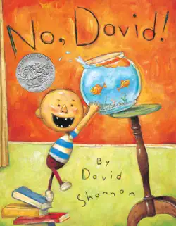 no, david! book cover image