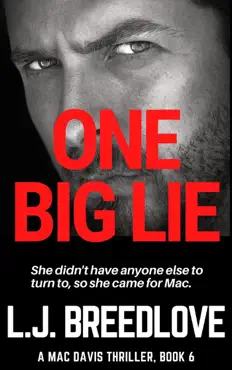 one big lie book cover image
