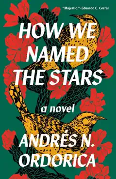 how we named the stars book cover image