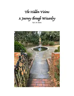 the hidden visions a journey through wizardry book cover image