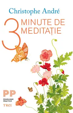 3 minute de meditatie book cover image