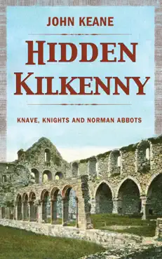 hidden kilkenny book cover image