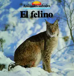el felino book cover image