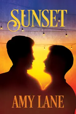 sunset book cover image