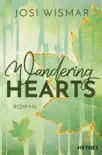 Wandering Hearts synopsis, comments