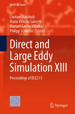 direct and large eddy simulation xiii book cover image