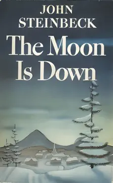 the moon is down book cover image