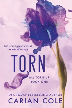 torn book cover image