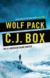 Wolf Pack sinopsis y comentarios