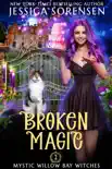 Broken Magic synopsis, comments