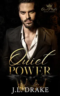 quiet power book cover image