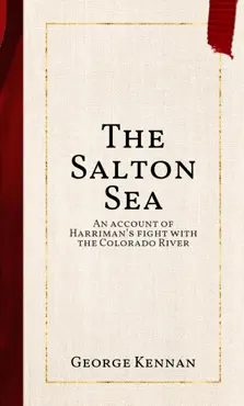 the salton sea book cover image