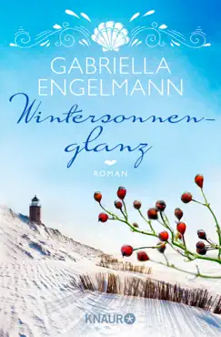 wintersonnenglanz book cover image