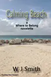 Calming Beach synopsis, comments
