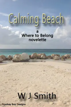 calming beach book cover image