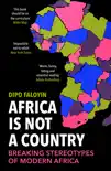 Africa Is Not A Country sinopsis y comentarios