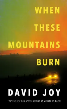 when these mountains burn imagen de la portada del libro