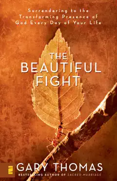 the beautiful fight book cover image