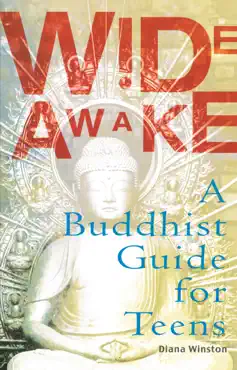 wide awake book cover image