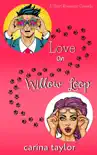 Love on Willow Loop synopsis, comments