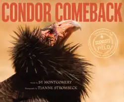 condor comeback book cover image