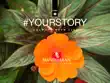 YourStory synopsis, comments