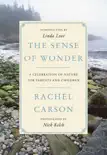 The Sense of Wonder synopsis, comments