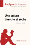 Une saison blanche et sèche d'André Brink (Analyse de l'oeuvre) sinopsis y comentarios