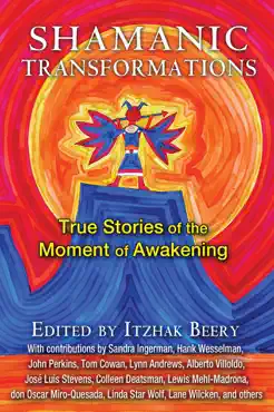 shamanic transformations book cover image
