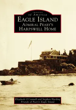 eagle island book cover image
