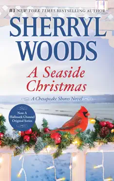 a seaside christmas book cover image
