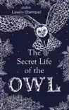 The Secret Life of the Owl sinopsis y comentarios