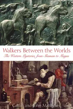 walkers between the worlds book cover image