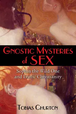 gnostic mysteries of sex book cover image