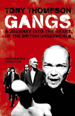 gangs book cover image