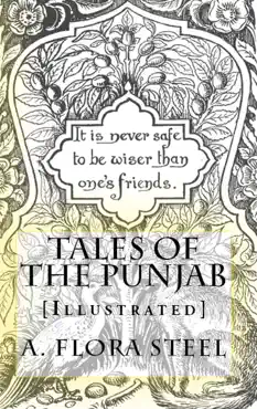 tales of the punjab book cover image
