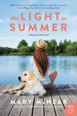 the light in summer book cover image