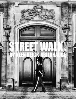 street walk - copenhagen book cover image