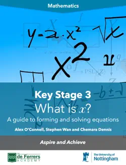 what is x? (solving equations) book cover image