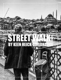 street walk - istanbul book cover image