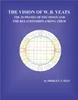 The Vision of W. B. Yeats The 28 Phases Of The Moon And The Relationships Among Them synopsis, comments