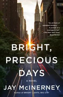 bright, precious days book cover image