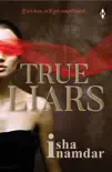 True Liars synopsis, comments