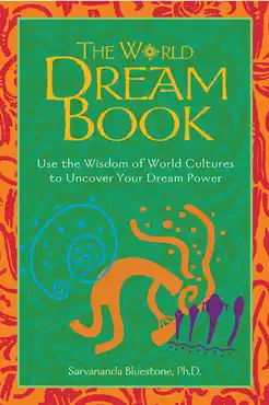 the world dream book book cover image