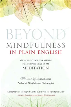 beyond mindfulness in plain english book cover image