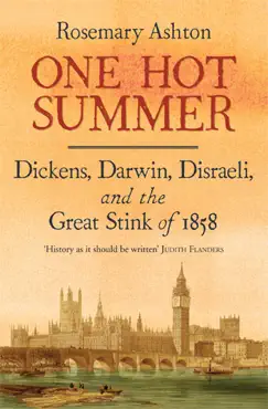 one hot summer book cover image