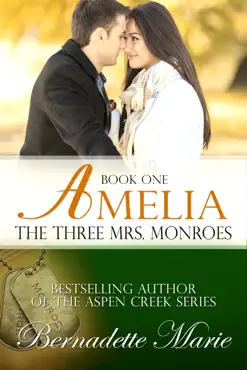amelia book cover image