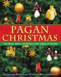 pagan christmas book cover image